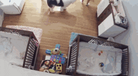 2017年刷曝朋友圈的十五大感人瞬間,不能看,真的會(huì)哭!